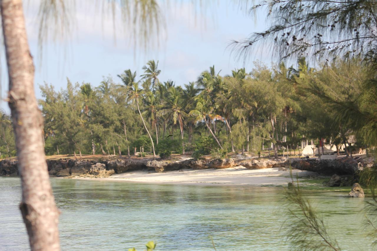 Coco Reef