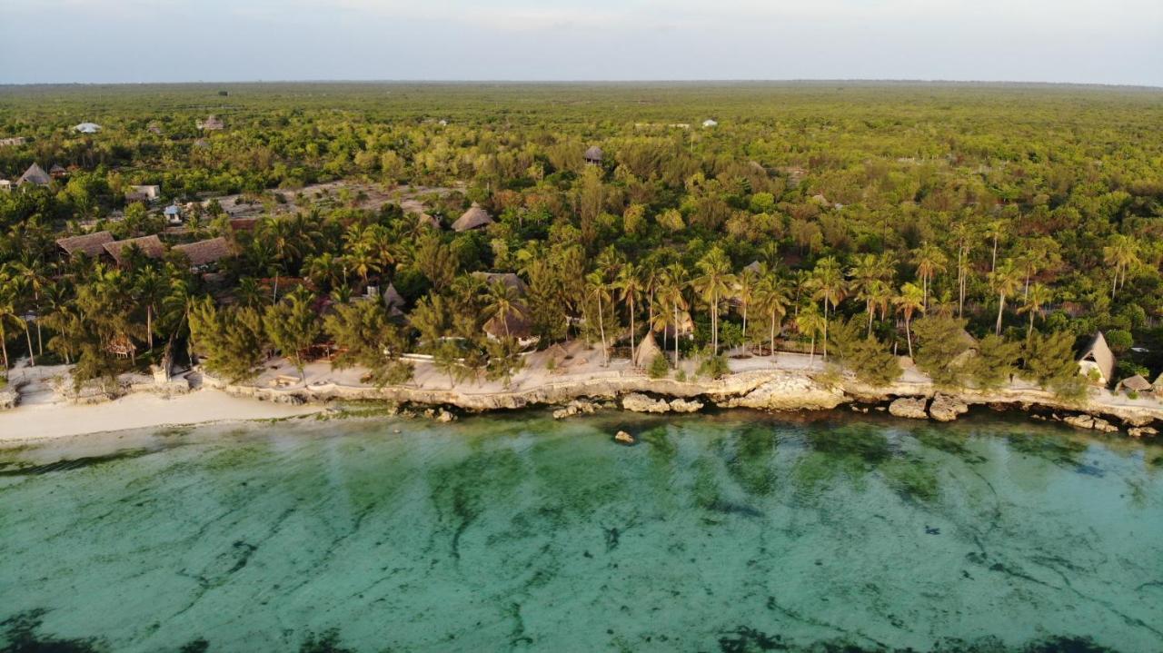 Coco Reef * Sansibar