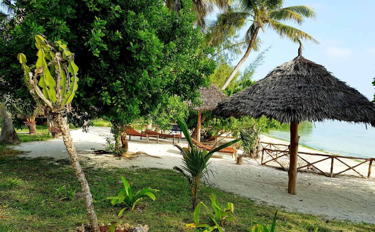 Coco Reef * Sansibar