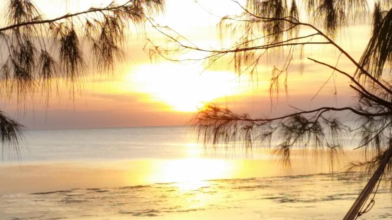 Coco Reef Lodge *