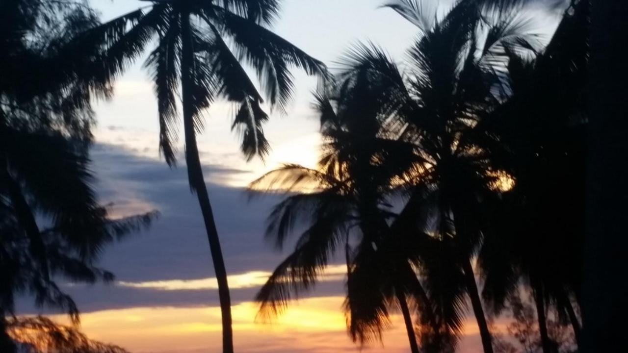 Coco Reef