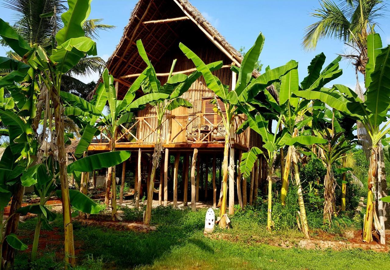 Coco Reef