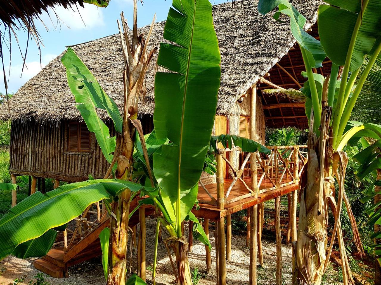 Coco Reef * Sansibar
