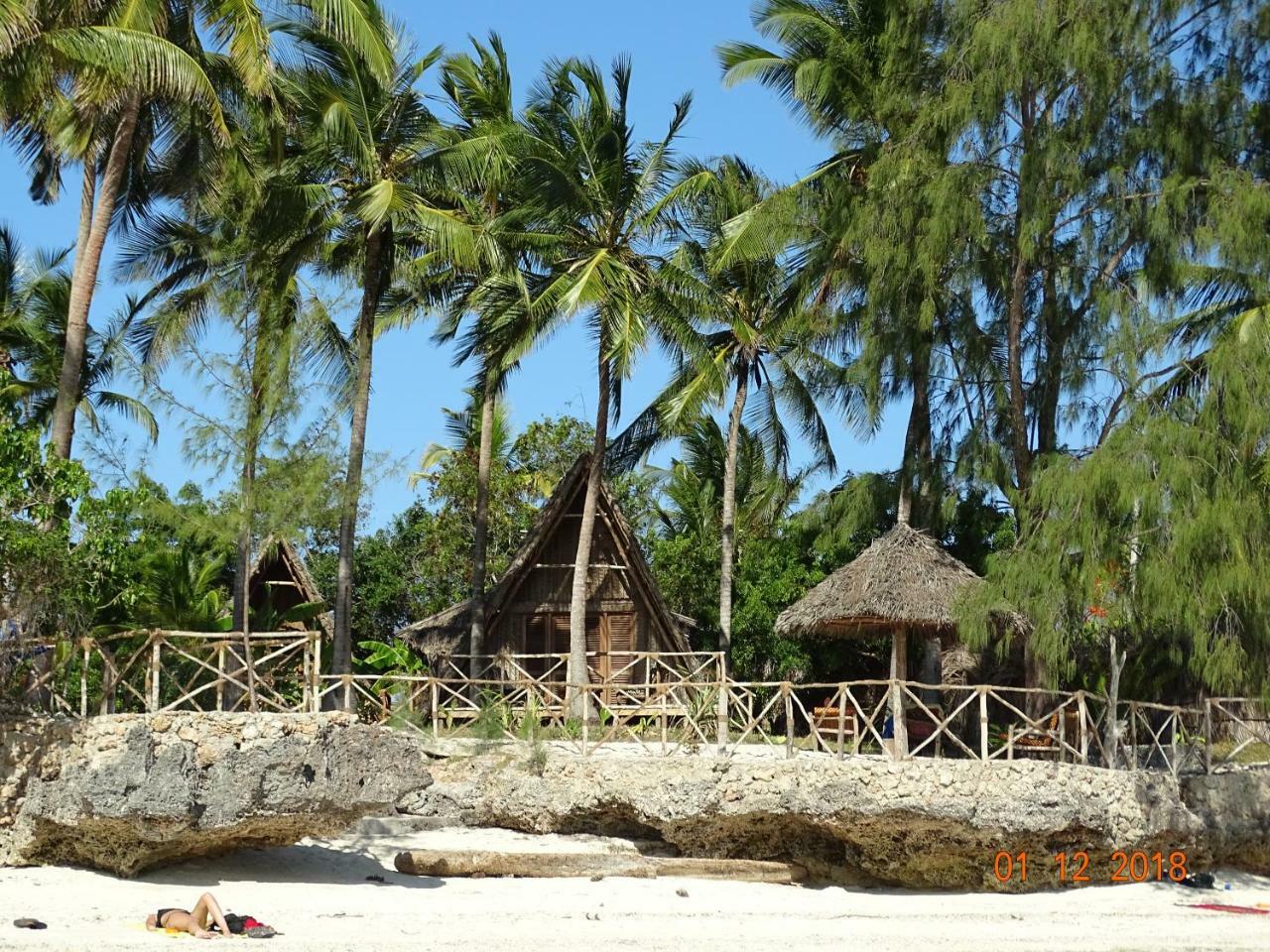 Coco Reef *
